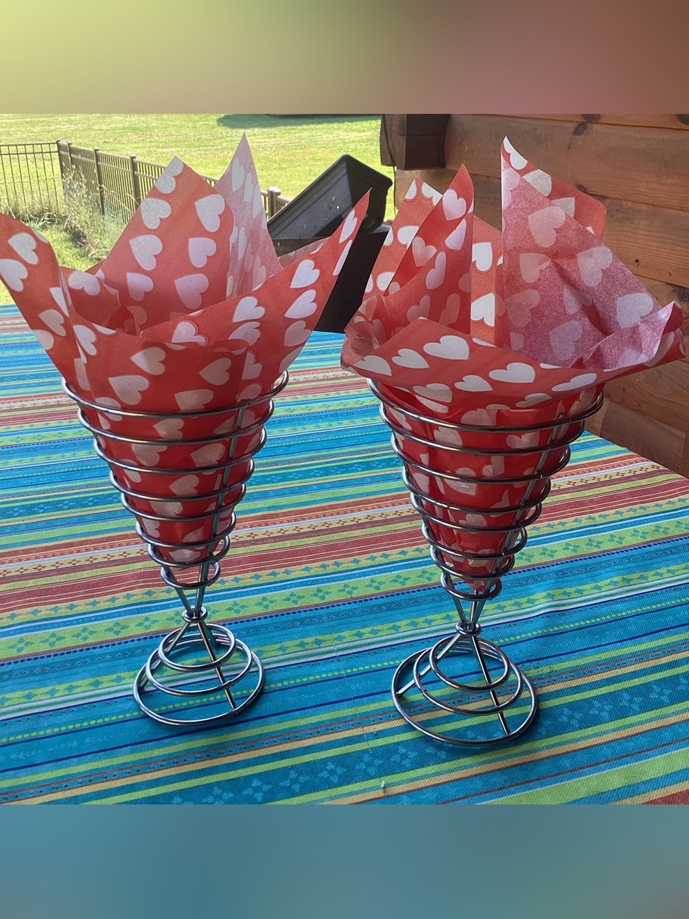 French Fry or Appetizer Cones - set of 2